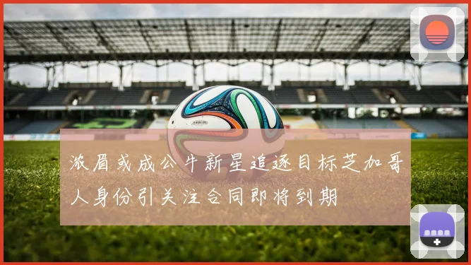 浓眉或成公牛新星追逐目标芝加哥人身份引关注合同即将到期