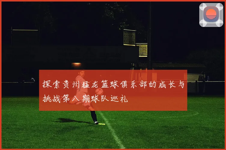 探索贵州猛龙篮球俱乐部的成长与挑战第八期球队巡礼