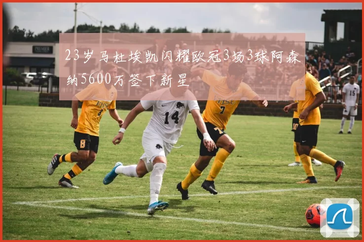 23岁马杜埃凯闪耀欧冠3场3球阿森纳5600万签下新星