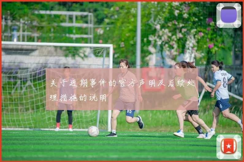 关于近期事件的官方声明及后续处理措施的说明