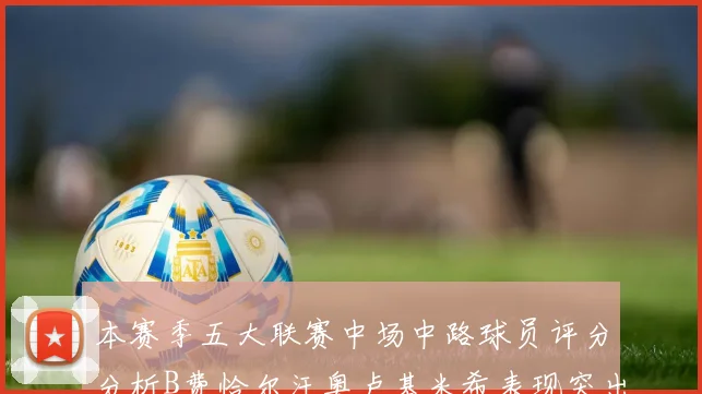 本赛季五大联赛中场中路球员评分分析B费恰尔汗奥卢基米希表现突出