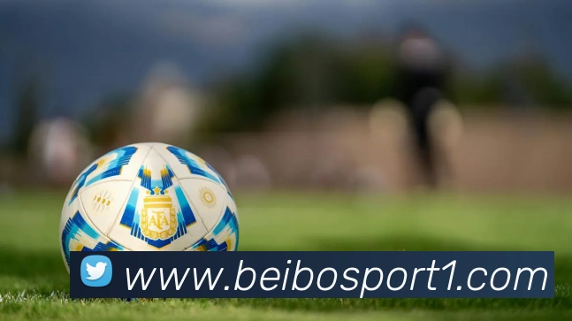 贝博足球APP 封面图