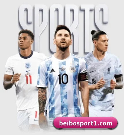 贝博足球 APP - BEIBOSPORTS