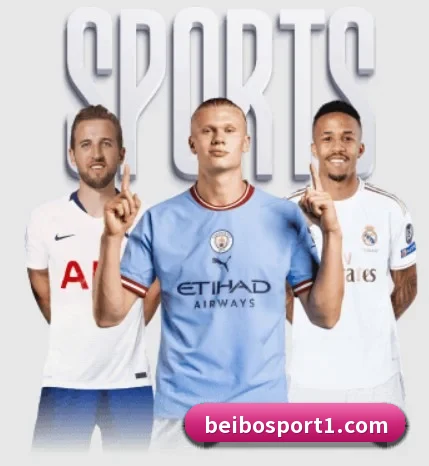贝博足球的方向(BEIBOSPORTS)