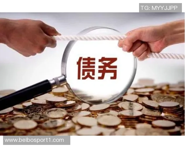 中赫九年投资八十亿背后的民营企业债务危机与挑战